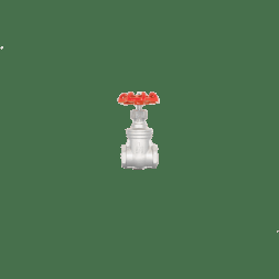 Задвижка клиновая муфтовая нержавеющая, AISI304 DN25 (1"), (CF8), PN63, NK-ZKm25/4