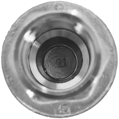 Обратный клапан муфтовый прямой нержавеющий, AISI304 DN15 (1/2"), (CF8), PN40, NK-CS15/4